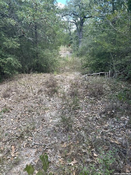 Muldoon, TX 78949 Fayette County