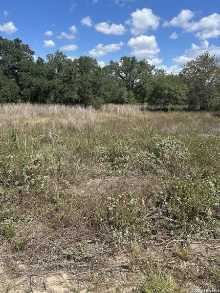 Muldoon, TX 78949 Fayette County