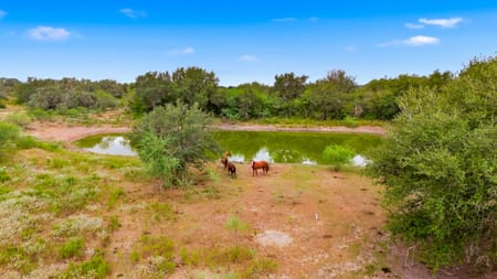 Goliad, TX 77963 Goliad County