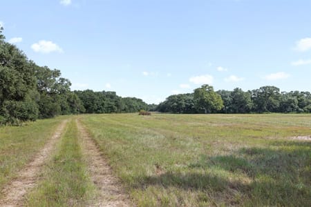 Hallettsville, TX 77964 Colorado County
