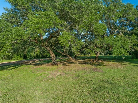 Round Top, TX 78954 Fayette County