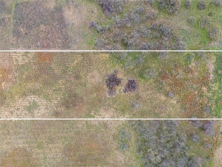 Corsicana, TX 75109 Navarro County
