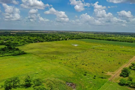 Needville, TX 77461 Fort Bend County