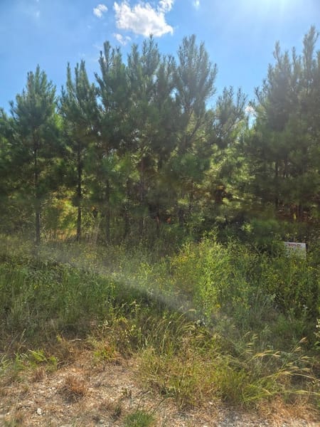 Lovelady, TX 75851 Houston County
