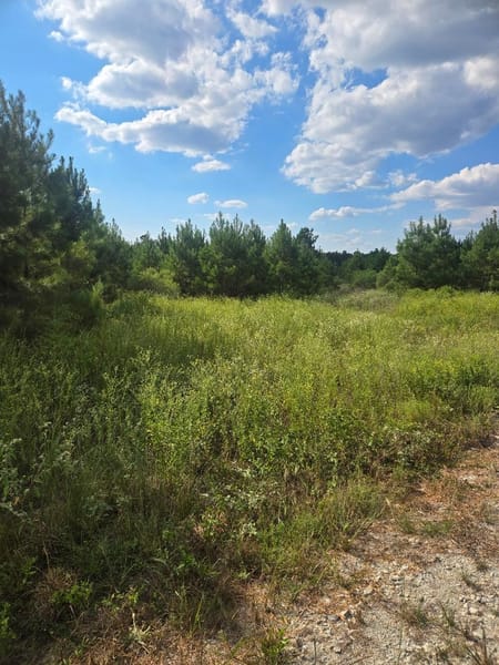 Lovelady, TX 75851 Houston County