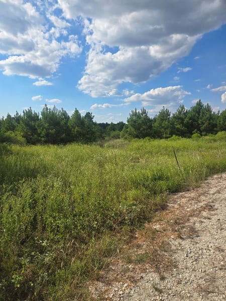 Lovelady, TX 75851 Houston County