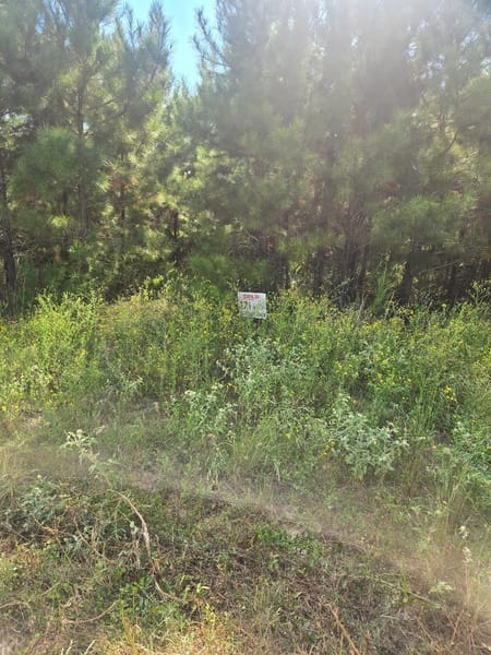 Lovelady, TX 75851 Houston County