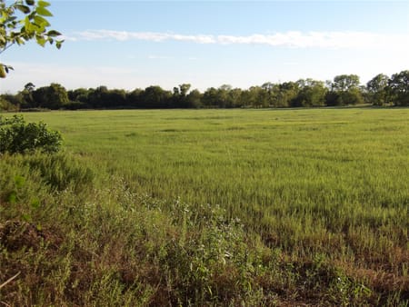 Shiro, TX 77876 Grimes County