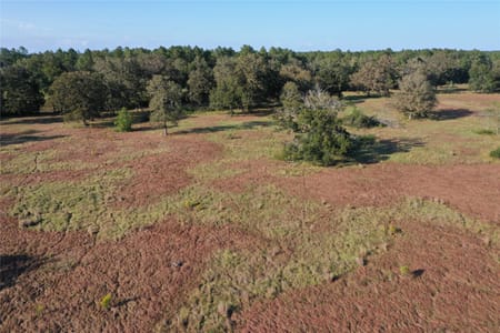 Cleveland, TX 77327 Liberty County