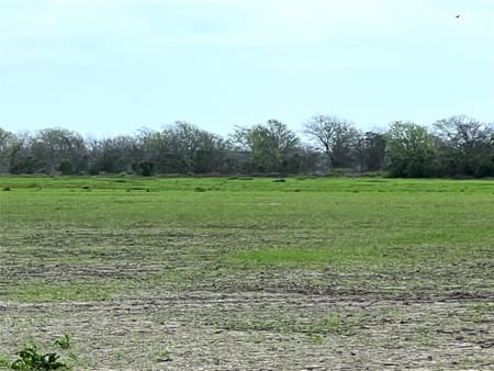 Garwood, TX 77442 Colorado County