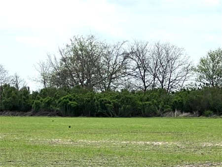 Garwood, TX 77442 Colorado County