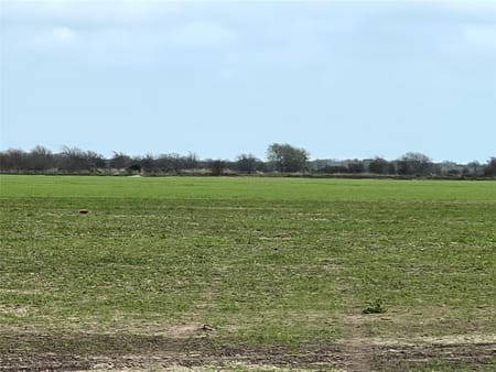 Garwood, TX 77442 Colorado County