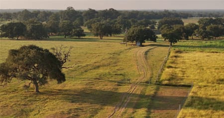 Weimar, TX 78962 Colorado County