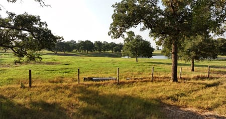 Weimar, TX 78962 Colorado County