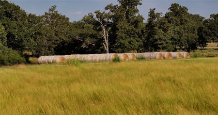 Weimar, TX 78962 Colorado County