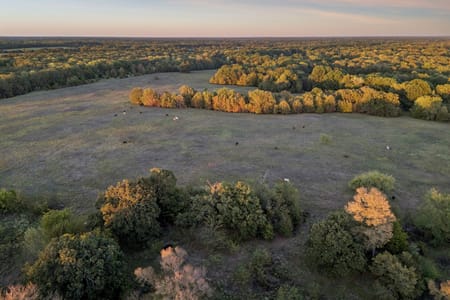 Point, TX 75472 Rains County
