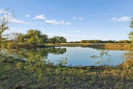 Point, TX 75472 Rains County