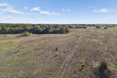 Point, TX 75472 Rains County