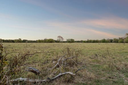 Point, TX 75472 Rains County