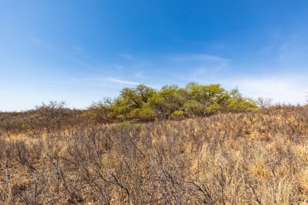 Post, TX 79356 Garza County