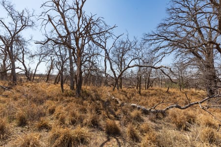 Post, TX 79356 Garza County