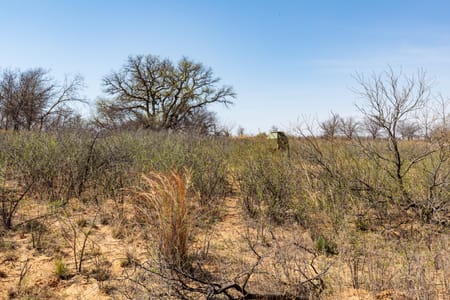 Post, TX 79356 Garza County