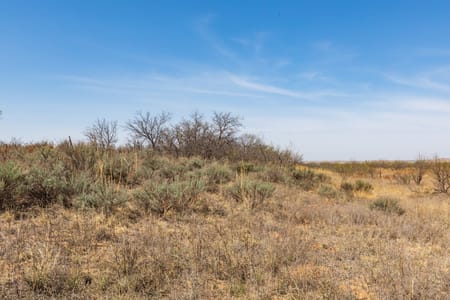 Post, TX 79356 Garza County