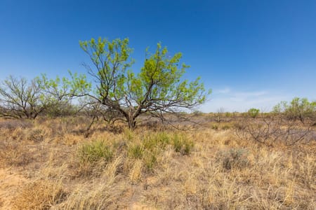 Post, TX 79356 Garza County