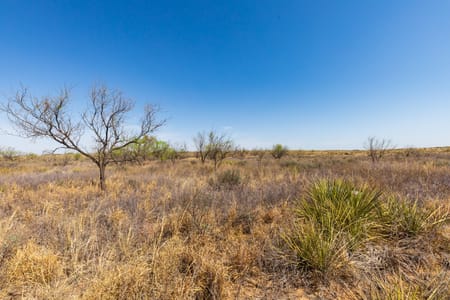 Post, TX 79356 Garza County