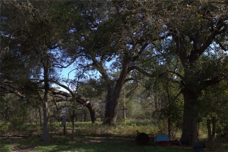 Fayetteville, TX 78940 Colorado County