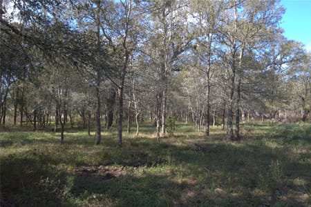 Fayetteville, TX 78940 Colorado County