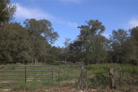 Fayetteville, TX 78940 Colorado County