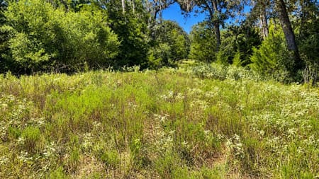 Hallettsville, TX 77964 Lavaca County