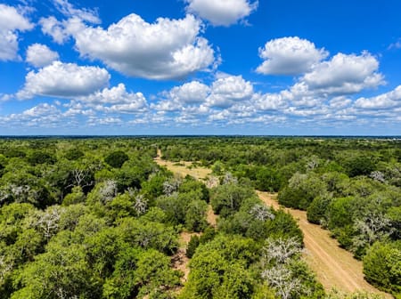 Hallettsville, TX 77964 Lavaca County