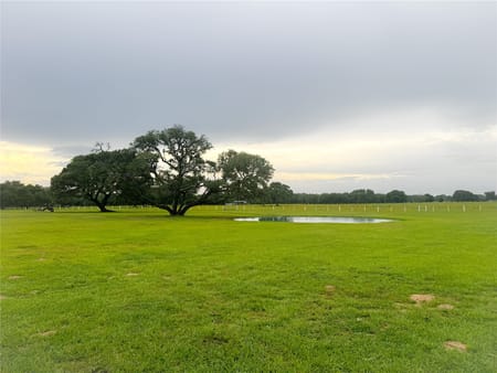 Hallettsville, TX 77964 Lavaca County