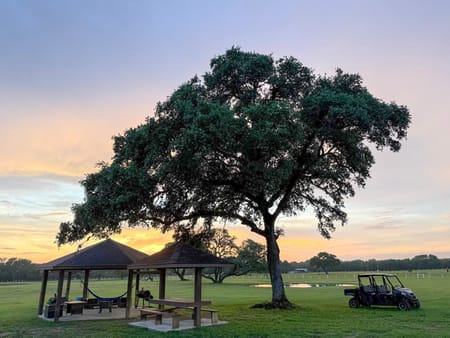 Hallettsville, TX 77964 Lavaca County
