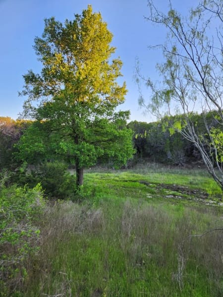 Glen Rose, TX 76043 Somervell County