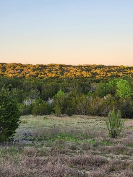 Glen Rose, TX 76043 Somervell County