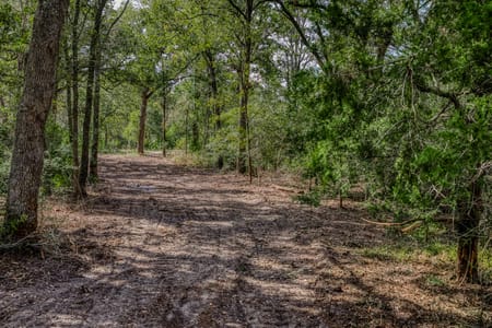 Brenham, TX 77833 Washington County
