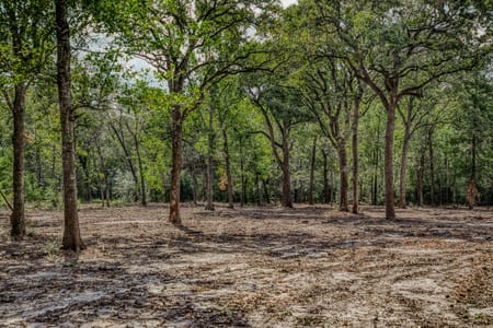 Brenham, TX 77833 Washington County