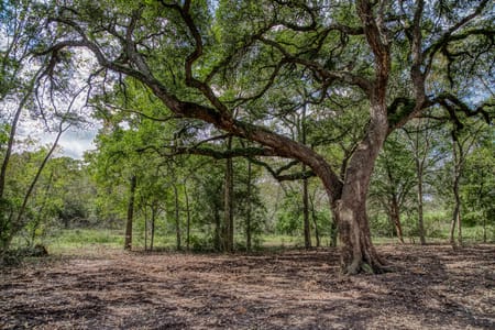 Brenham, TX 77833 Washington County