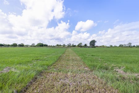 Sealy, TX 77474 Austin County