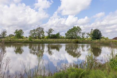 Sealy, TX 77474 Austin County
