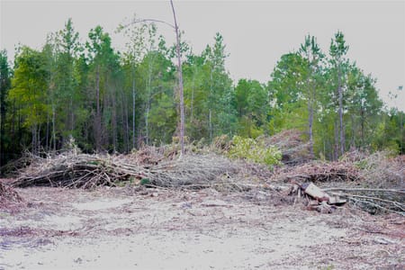 Overton, TX 75684 Rusk County
