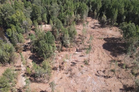 Overton, TX 75684 Rusk County