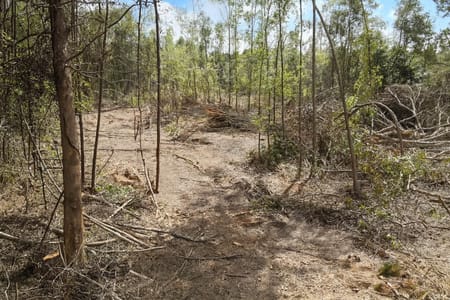 Overton, TX 75684 Rusk County