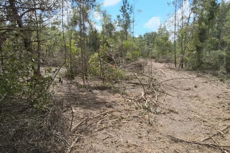 Overton, TX 75684 Rusk County