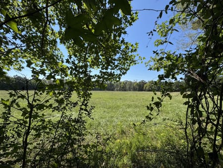 Woodville, TX 75979 Tyler County