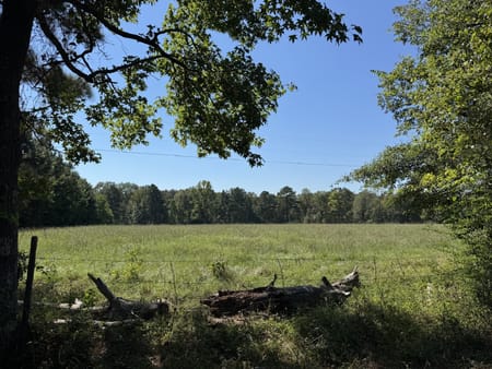 Woodville, TX 75979 Tyler County