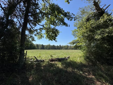 Woodville, TX 75979 Tyler County